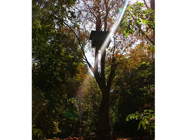 Cotigao Wildlife Sanctuary Cotigao Wildlife Sanctuary
