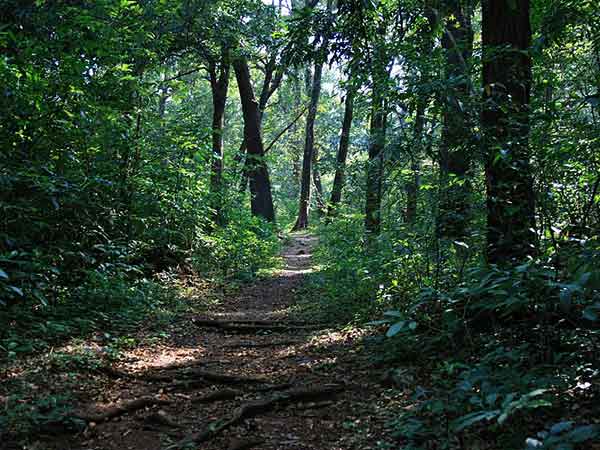 Cotigao Wildlife Sanctuary Cotigao Wildlife Sanctuary