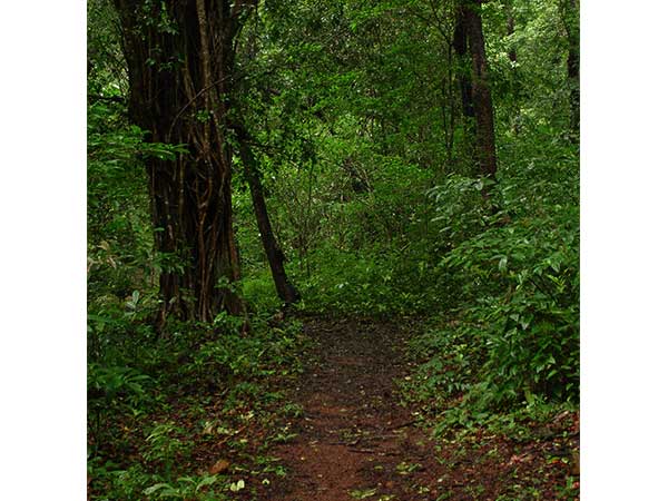 Cotigao Wildlife Sanctuary Cotigao Wildlife Sanctuary