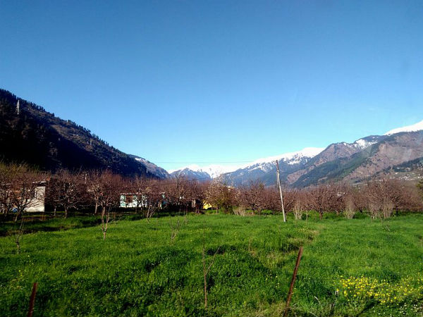 Palampur Hill Station Palampur Hill Station