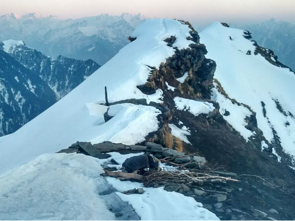 Malana Malana