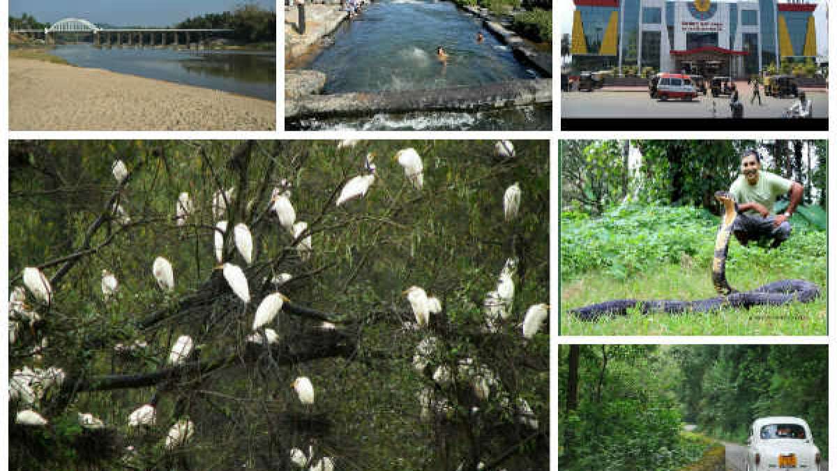 ಸೊಗಸಾದ ಶಿವಮೊಗ್ಗದ ಸುಂದರ ಸ್ಥಳಗಳು Shimoga the rice bowl of karnataka