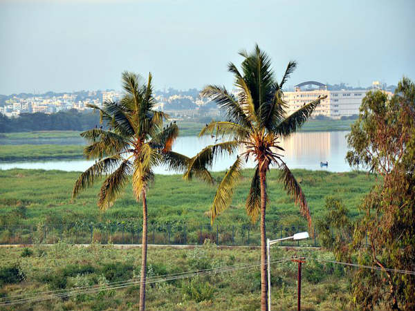 ಬೆಳಂದೂರು ಕೆರೆ