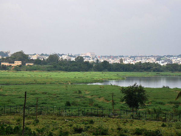 ಬೆಳಂದೂರು ಕೆರೆ