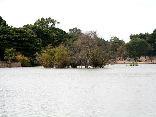 ಸ್ಯಾಂಕಿ ಕೆರೆ/ಟ್ಯಾಂಕ್