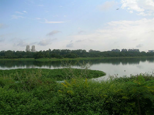ಹೆಬ್ಬಾಳ ಕೆರೆ
