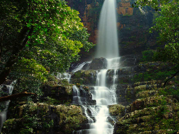 ತಲಕೋನ ಜಲಪಾತ: