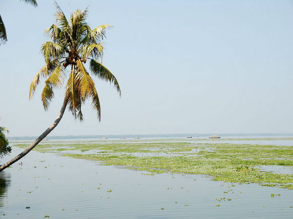 ವೆಂಬನಾಡ್ ಸರೋವರ: