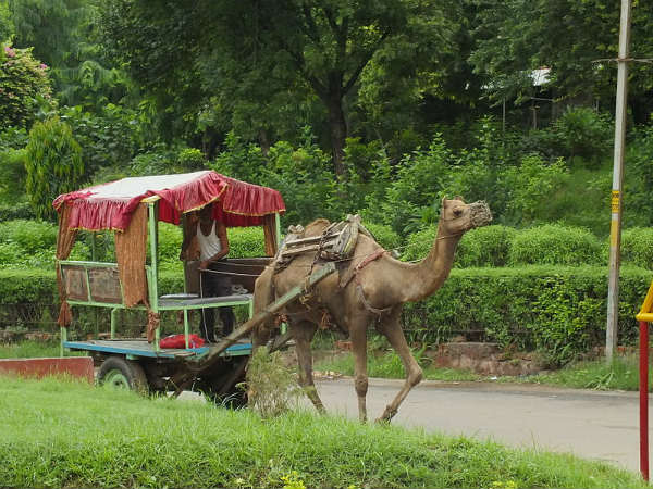 ಆಗ್ರಾ: