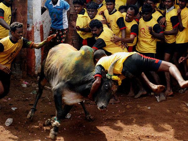 ತಿರುವಪುರ್: