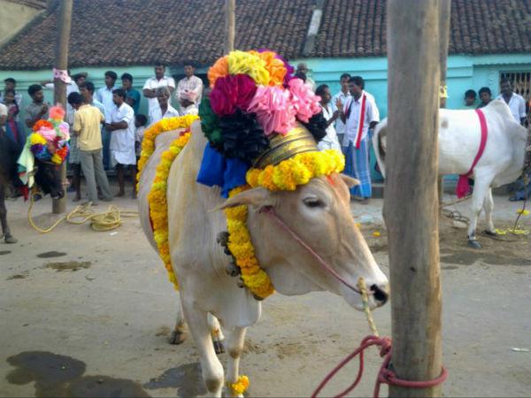 ವೆಂತಾನಪಟ್ಟಿ: