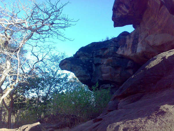 ಭೀಮ್ ಬೇಟ್ಕಾ 7: