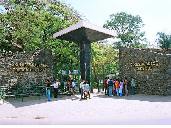 ಮೈಸೂರು ಮೃಗಾಲಯ: