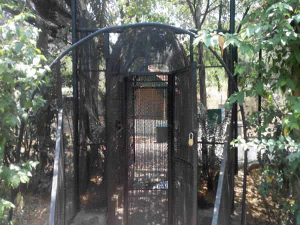 ಮೈಸೂರು ಮೃಗಾಲಯ: