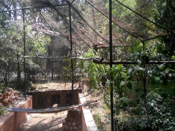 ಮೈಸೂರು ಮೃಗಾಲಯ: