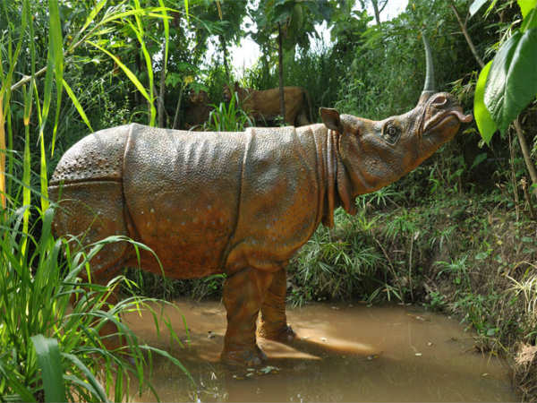ಉತ್ಸವ ರಾಕ್ ಉದ್ಯಾನ: