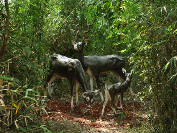 ಉತ್ಸವ ರಾಕ್ ಉದ್ಯಾನ: