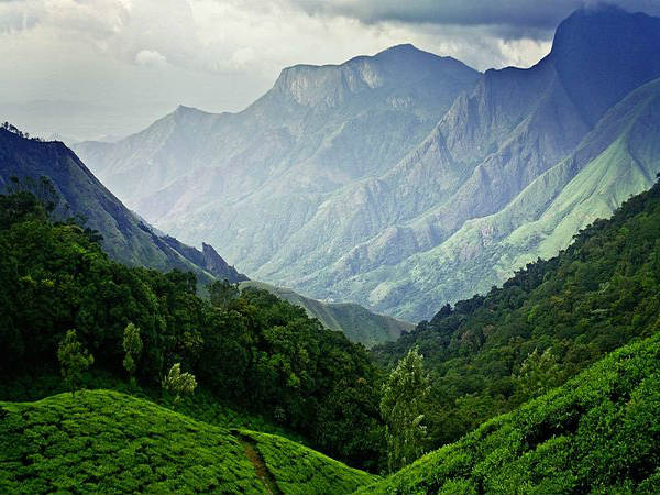 ಮುನ್ನಾರ್: