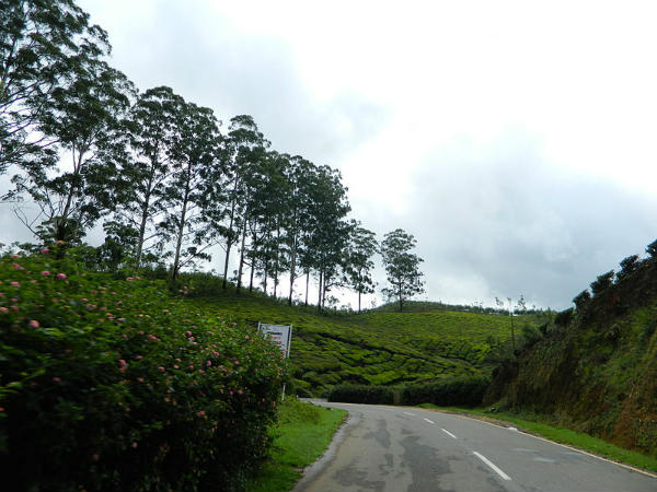 ಮುನ್ನಾರ್: