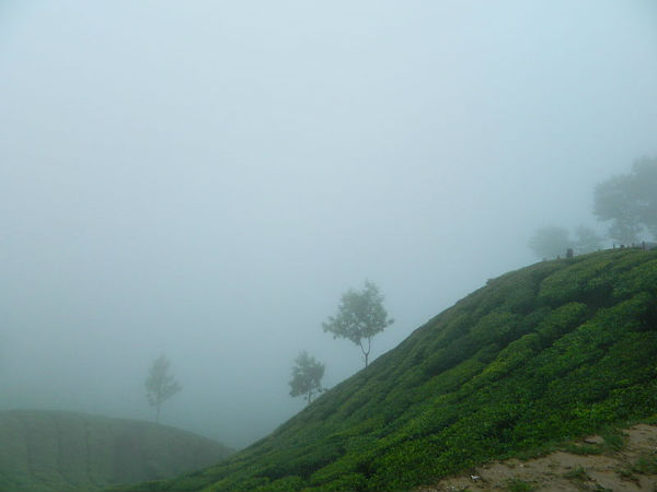 ಮುನ್ನಾರ್: