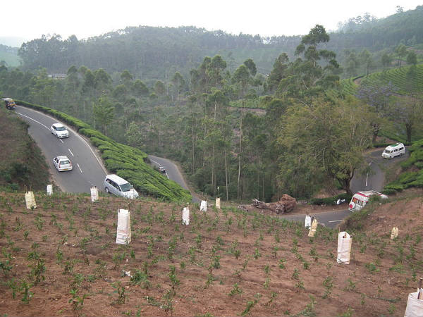 ಮುನ್ನಾರ್: