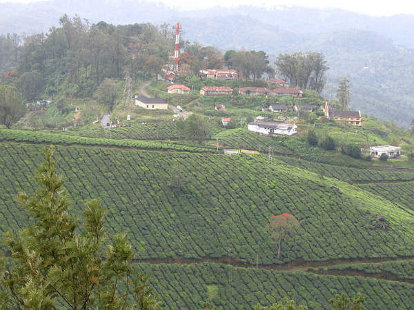 ಮುನ್ನಾರ್: