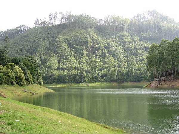 ಮುನ್ನಾರ್: