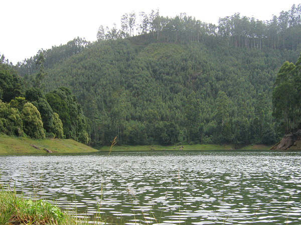 ಮುನ್ನಾರ್: