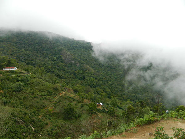 ಮುನ್ನಾರ್: