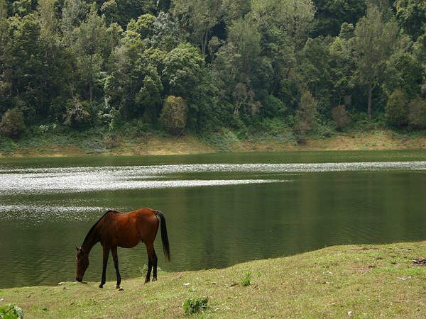 ಮುನ್ನಾರ್: