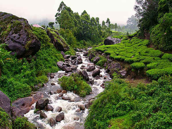 ಮುನ್ನಾರ್: