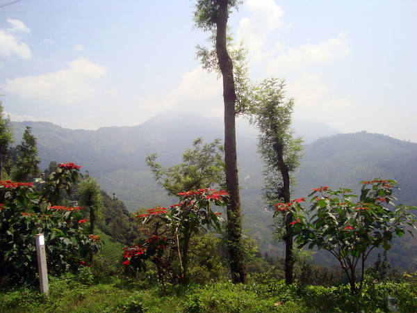ಮುನ್ನಾರ್: