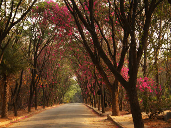 ನಮ್ಮ ಬೆಂಗಳೂರು: