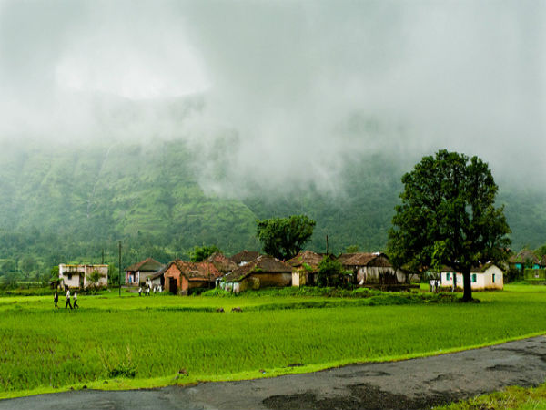 ಅಂಬೋಲಿ: