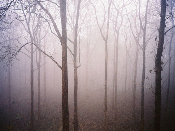 ದಾಂಡೇಲಿ: