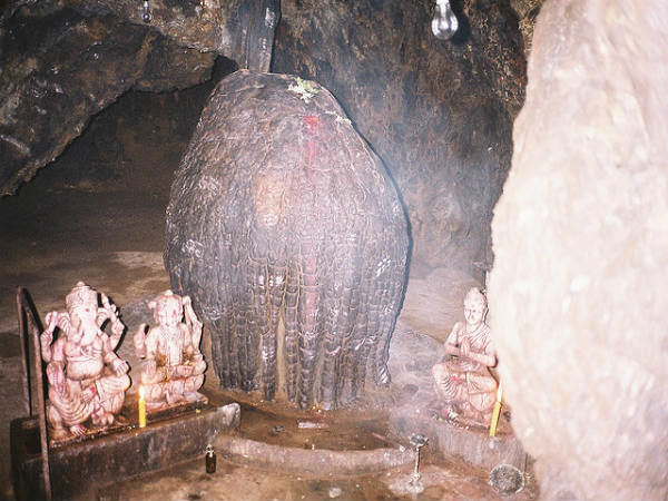 ದಾಂಡೇಲಿ: