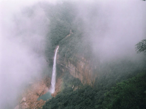 ಮಳೆ ಪ್ರದೇಶದ ಒಳಜಗತ್ತು:
