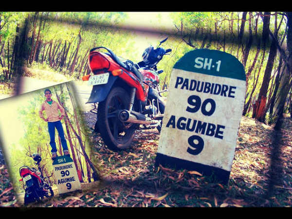 ಮಳೆ ಪ್ರದೇಶದ ಒಳಜಗತ್ತು: