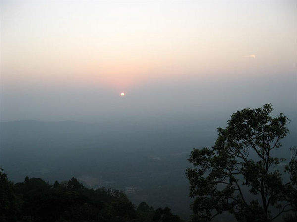 ಮಳೆ ಪ್ರದೇಶದ ಒಳಜಗತ್ತು: