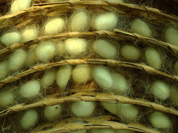 ಮಂಡ್ಯ ಜಿಲ್ಲೆ: