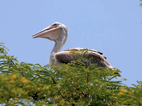 ಮಂಡ್ಯ ಜಿಲ್ಲೆ: