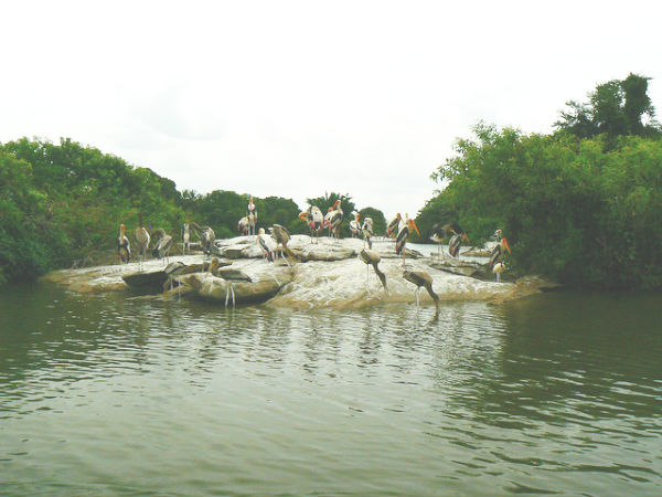 ಮಂಡ್ಯ ಜಿಲ್ಲೆ: