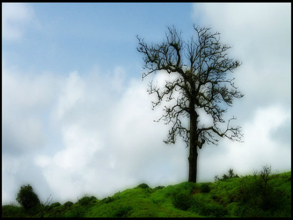ಲೋಹಗಡ್:
