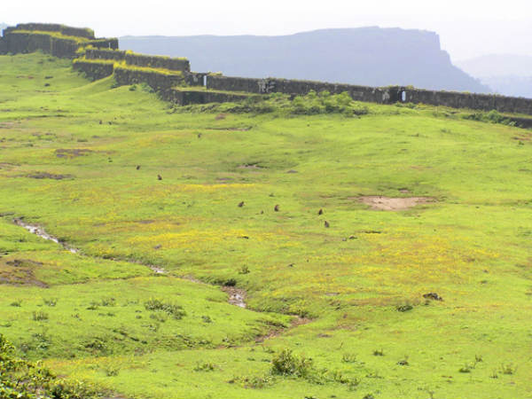 ಲೋಹಗಡ್: