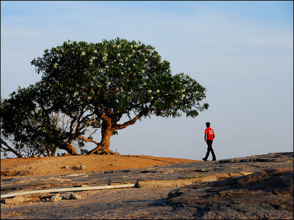 ಲಾಲ್ ಬಾಗ್ ಆಕರ್ಷಣೆಗಳು: