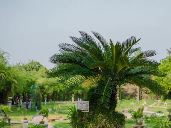 ಲಾಲ್ ಬಾಗ್ ಆಕರ್ಷಣೆಗಳು: