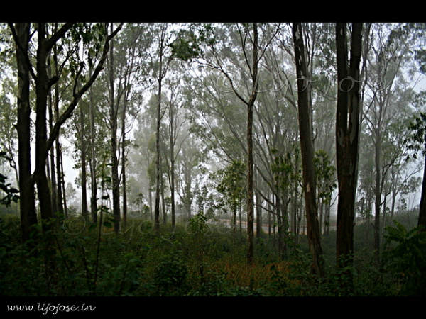 ನಂದಿ ಬೆಟ್ಟ: