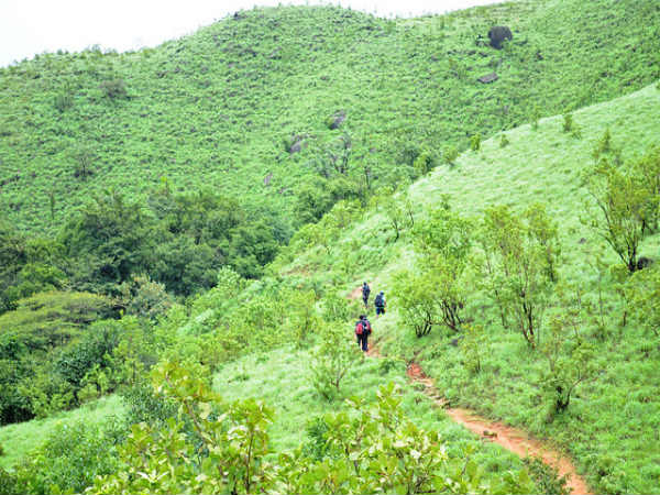ಕುಮಾರಪರ್ವತ: