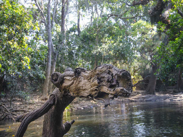 ಕೊಡಗು: