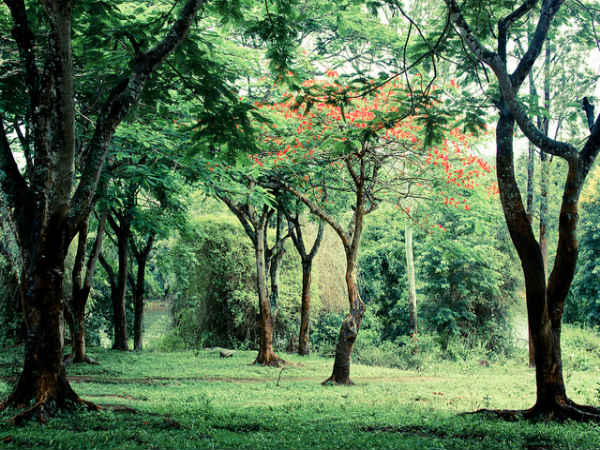 ಕೊಡಗು: